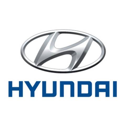 Oppi Spiegel fr Hyundai Terracan und Tucson