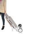 Strandliege Beach Trolley Aluminium