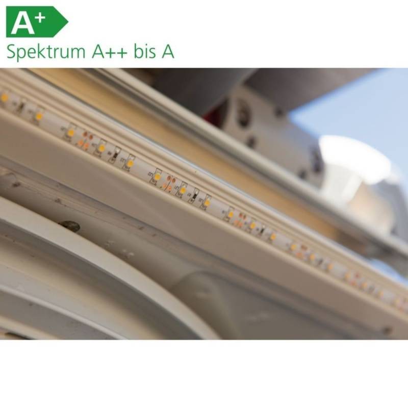 Dometic RainTec RT 100 beleuchtete (LED) Regenrinne schwarz