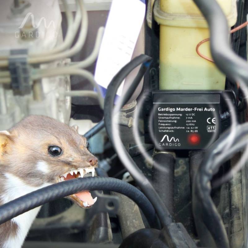 Gardigo Marderfrei Marderschreck